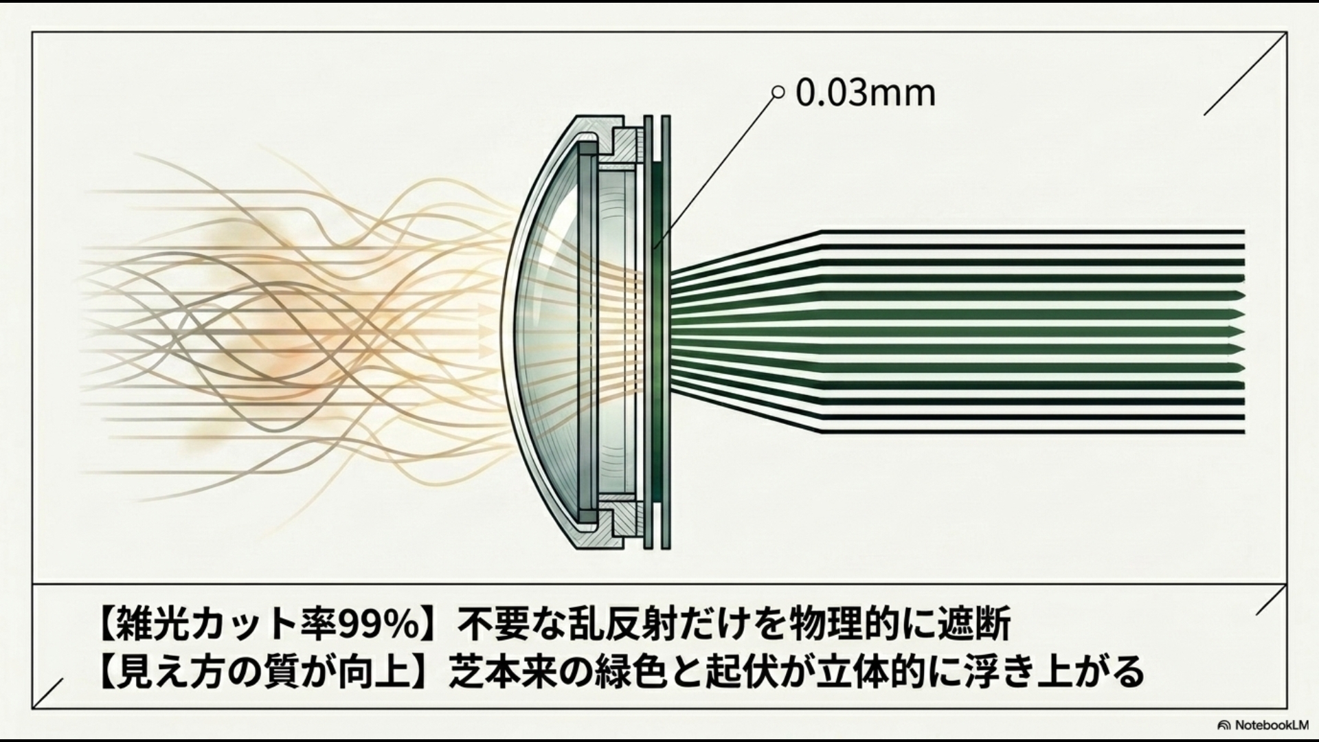 タレックスレンズの断面図。2枚のレンズの間に挟まれた0.03ミリの偏光フィルターが、不規則な乱反射光を遮断する仕組みの図解。
